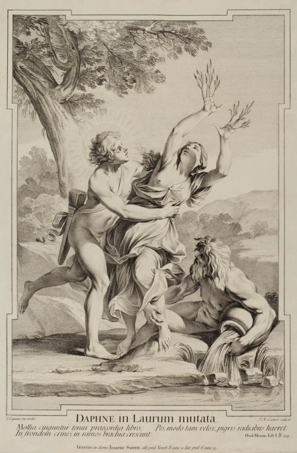 Mutazione di Dafne